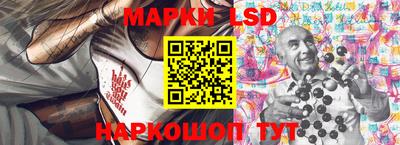 индика Жуковский