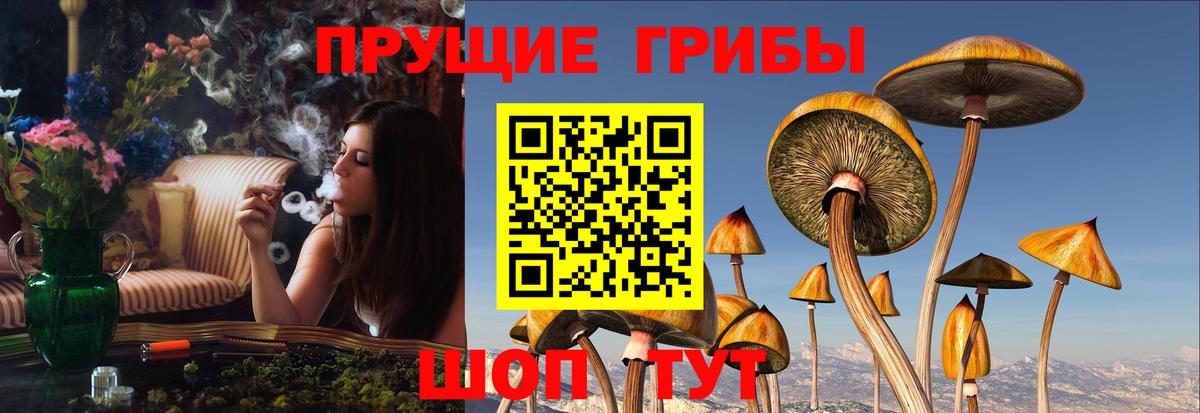 Муром  Галлюциногенные грибы прущие грибы  Вход с VPN 